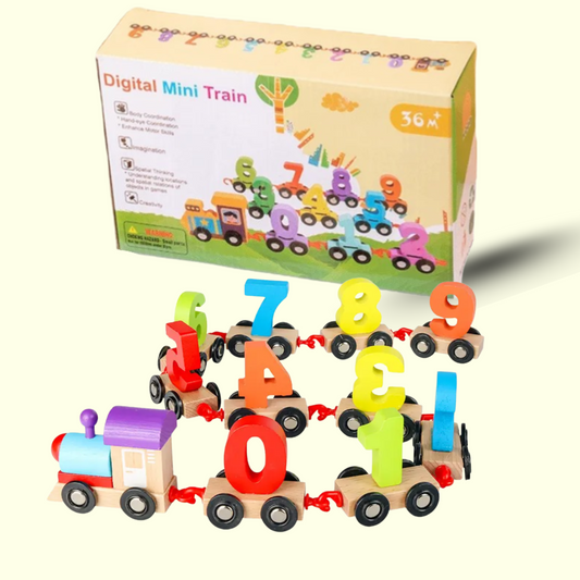 Digital Mini Train
